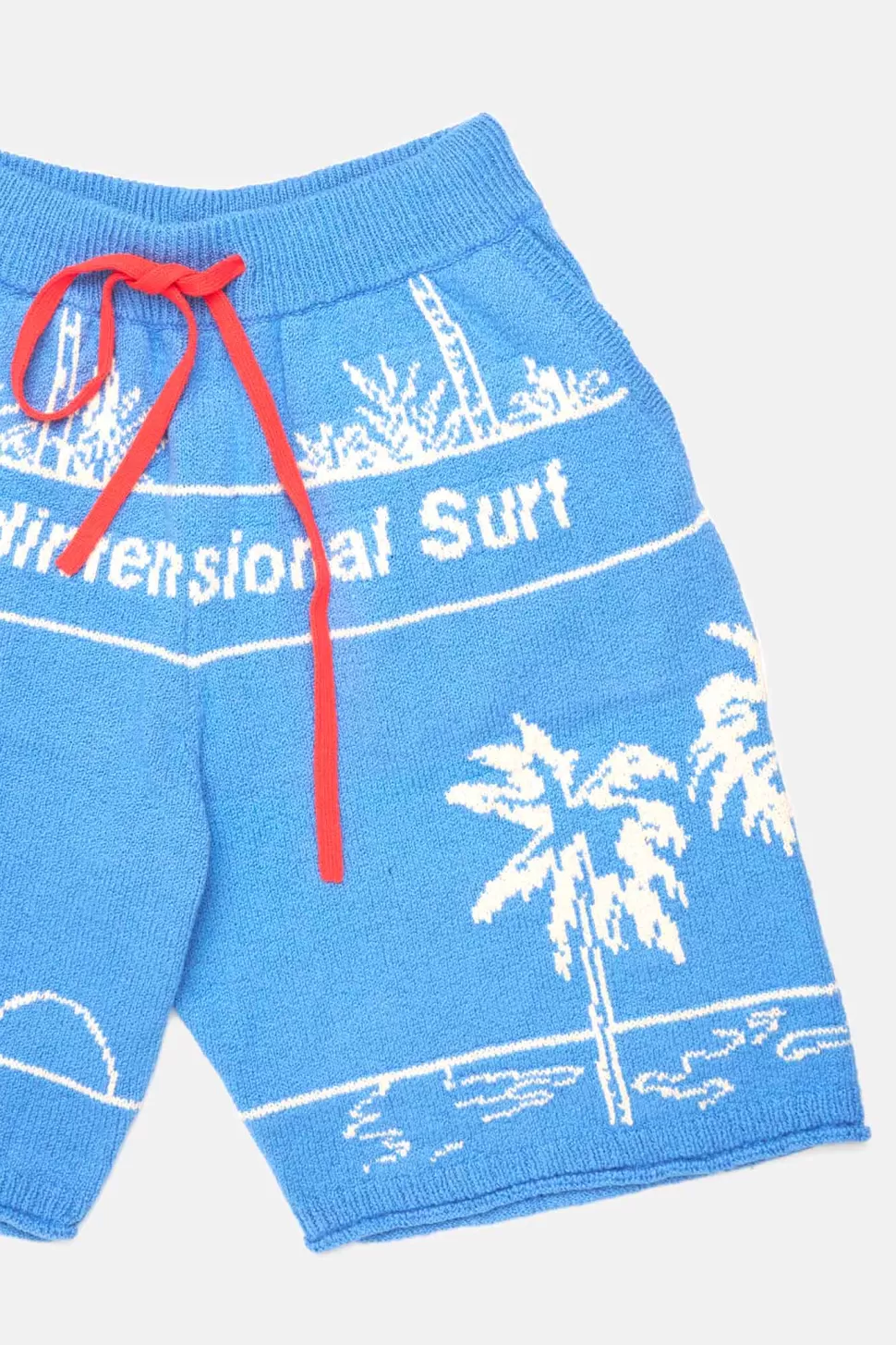 The Elder Statesman Nora ID Surf Short CryptoBlue Sale